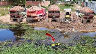 Starting Project Full Video Action 5T Dump Truck Unloading Soils Into Deep Water amp Dozer Machine [upl. by Guimar]