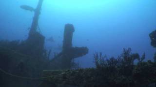 Rebreather Diving Doc DeMilly Wreck South Florida [upl. by Abelard694]