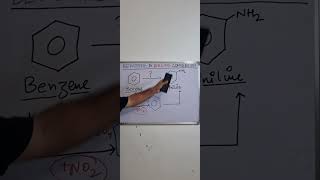 How to convert BENZENE to ANILINE chemistry organicchemistry [upl. by Drewett]