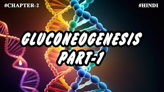 Chapter 2  Metabolism Of Carbohydrates Part4  Gluconeogenesis Coris cycles [upl. by Tomchay221]