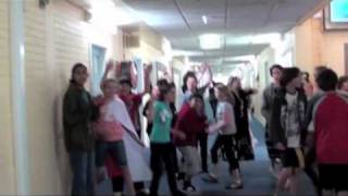 Alfred Deakin High School Official LipDub [upl. by Eelegna233]