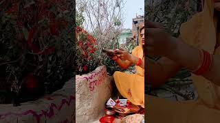 Tulsi vivahtrending bhktiyoutubeshorts [upl. by Gerson960]