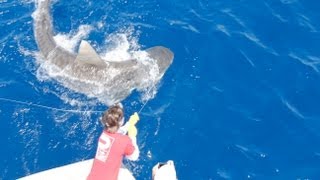 Islamorada Shark Fishing [upl. by Elorak]