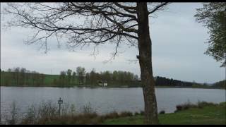 Landal vakantiepark Hochwald [upl. by Neenahs1]