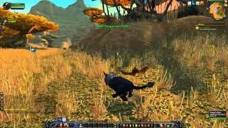 Kolkar Leaders  World of Warcraft Quest Guide [upl. by Dougall]