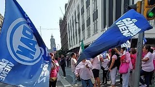 Mira la concentración de la marea rosa en el zócalo de la cdmx [upl. by Mcnamee685]