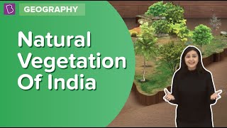 Natural Vegetation Of India  Class 6  Geography  Learn With BYJUS [upl. by Hestia]