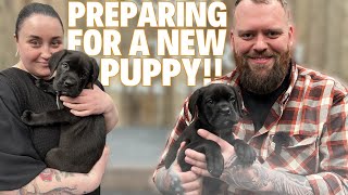 HOW TO PREPARE FOR A NEW PUPPY [upl. by Elke]