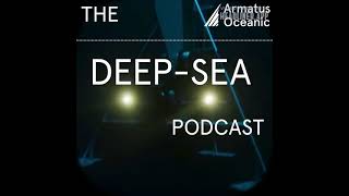 DeepSea UFO  A clip from The DeepSea Podcast [upl. by Ilaire]