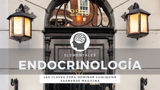 Endocrinologia  Elementales  ENARM [upl. by Shoemaker]