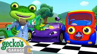 The Car Competition  Geckos Animal Pals  Animal amp Vehicle Cartoons  Cartoons for Kids [upl. by Anilef371]