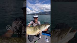 A la recherche des gros brochets Lac du Bourget 88 fishing short france pike luresfishing [upl. by Nho]