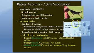 Microbiology 514 a Anti Rabies Vaccine Immuno Prophylaxis Dog bite Treatment Virus Non Neural Essen [upl. by Roland]