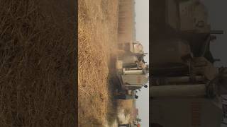 Katar 5000 dhan ki katai punjabi agriculture harvest ytshorts [upl. by Wakefield]