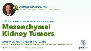 Mesenchymal kidney tumors  Dr Matoso Hopkins GUPATH [upl. by Eastman]