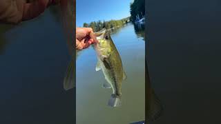 Deep Creek Lake fishing [upl. by Eivets523]