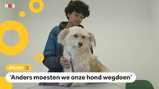 Dierenartsen worden steeds duurder [upl. by Lunette]