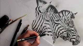 Drawing Timelapse Zebra Part 8 [upl. by Neal640]