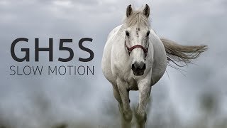 Panasonic Lumix GH5S  DJI RoninS  240fps SlowMotion Footage [upl. by Eerpud]