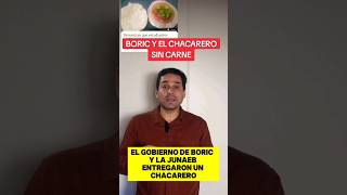 BORIC Y EL CHACARERO SIN CARNE [upl. by Nossah]