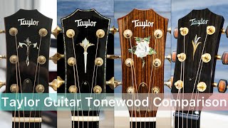 Rosewood Vs Cocobolo Vs Brazilian Vs Bocote｜Taylor Guitar Comparison [upl. by Syramad]