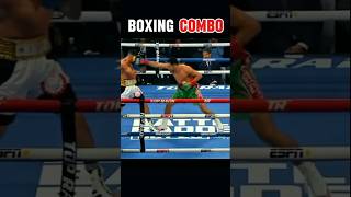 BOXING COMBO KNOCKOUTboxingusaknockoitsshortsvideoamericaniietjha [upl. by Maryellen]