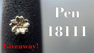 Pen 18111 3D Pen Review and Giveaway [upl. by Barron]