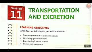 Class 7  Transportation and Excretion  Chapter 11  Science [upl. by Artamas]