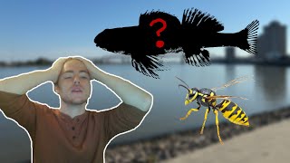 I fought wasps and disease to find RARE fish in Louisiana [upl. by Zel534]