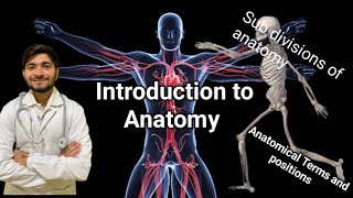 Introduction to Anatomy Subdivision anatomical Terms and planes [upl. by Abisha699]