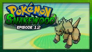 Pokemon Snakewood Episode 12 w Voltsy Gameplay Walkthrough [upl. by Llovera]