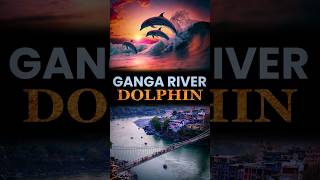 Ganga River Dolphin [upl. by Aihsit275]