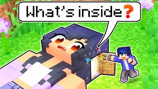 Whats Inside APHMAUS Head In Minecraft [upl. by Norris]