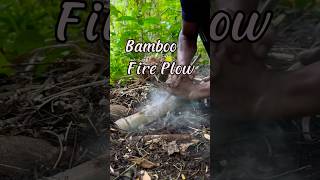 Fire plow in the interior forest firemaking [upl. by Ijic]