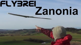 Zanonia wieder ohne Finnen  RC Glider [upl. by Milinda]