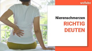 Nierenschmerzen richtig deuten mögliche Ursachen und Folgen [upl. by Blau]