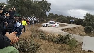 Rally de la vendimia 2024 ferialas tontas [upl. by Sydel]