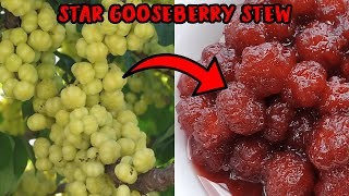 Star Gooseberry Stew Recipe Video  Micahs Logics [upl. by Ardnaet]