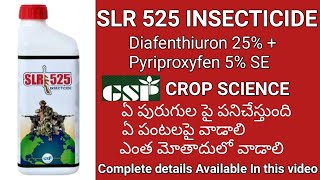 whitefly control  tella doma nivarana Diafenthiuron 25  Pyriproxyfen 5 SE  slr 525 insecticide [upl. by Bo]