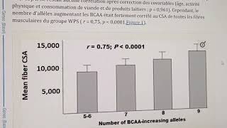 Pour certains répondent mieux à lanabolisme des BCAA que dautres [upl. by Refennej662]