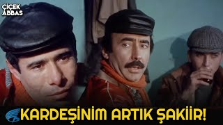 Çiçek Abbas Türk Filmi  Kardeşinim Artık Şakiir [upl. by Asiilanna413]