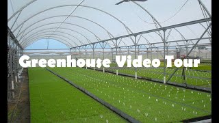 Redpath Greenhouse Video Tour [upl. by Alvord901]