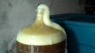 Home Brewing Beer  Overflowing Primary Fermenter IPA [upl. by Rashidi622]