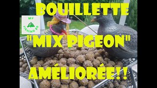 LA BOUILLETTE quotTYPEquot POUR LES SPECIMENS Une Recette bien équilibrée qui COGNE FORT [upl. by Lledrev]