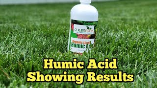 Humic Acid Application Mid Season Backyard Overview Update [upl. by Ainolloppa]