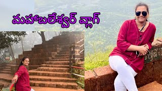 Mahabaleshwar Vlog  మహాబలేశ్వర్ వ్లాగ్  beautiful view  enjoy trip  beautiful location [upl. by Nidya]