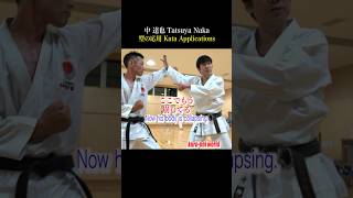 Use the kata ”Heian Nidan” Application【Tatsuya Naka】 [upl. by Othelia64]