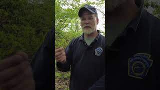 How to Identify Venomous vs Nonvenomous Snakes in Pennsylvania [upl. by Garnette]