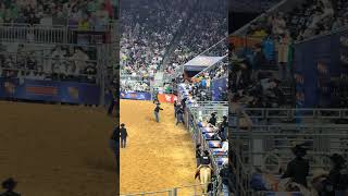 Wild NRG Texas Rodeo [upl. by Arvie]