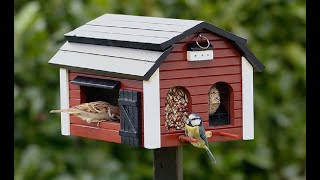 the bird food house [upl. by Aigil226]